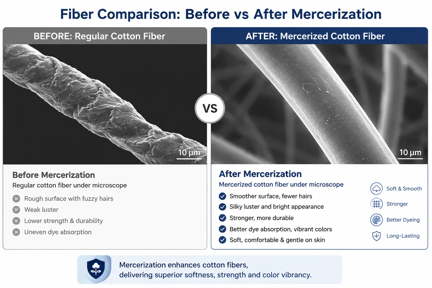 Mercerized cotton fiber before and after treatment comparison
